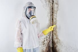 Why You Should Choose Our Mold Remediation Services in Scotts Valley, CA